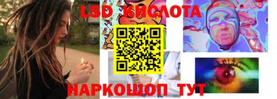 мдма Камышлов